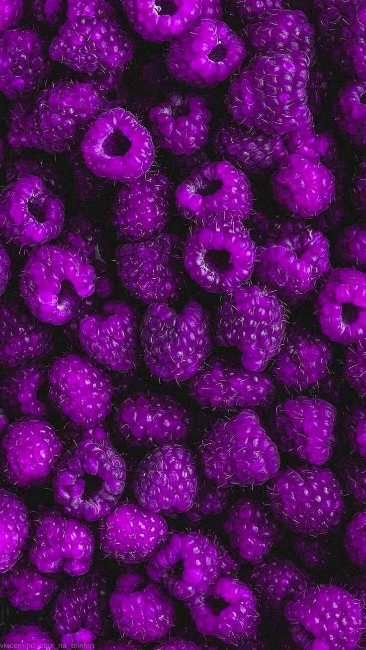 Фрукты и ягоды фиолетового цвета