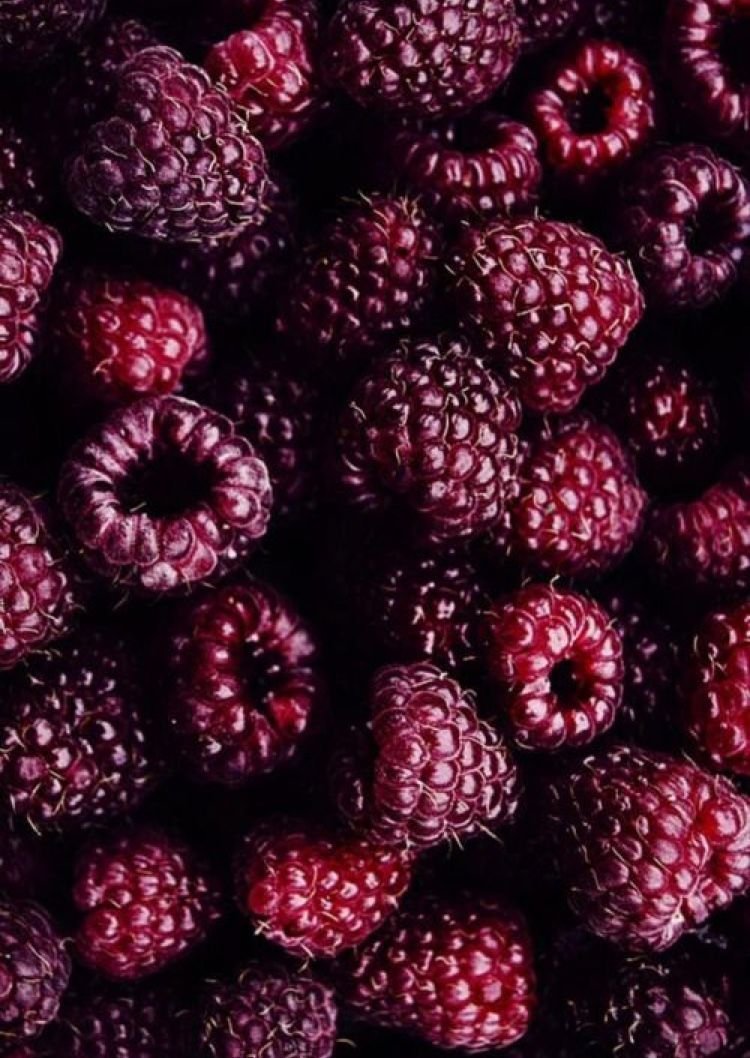 Бордовая малина