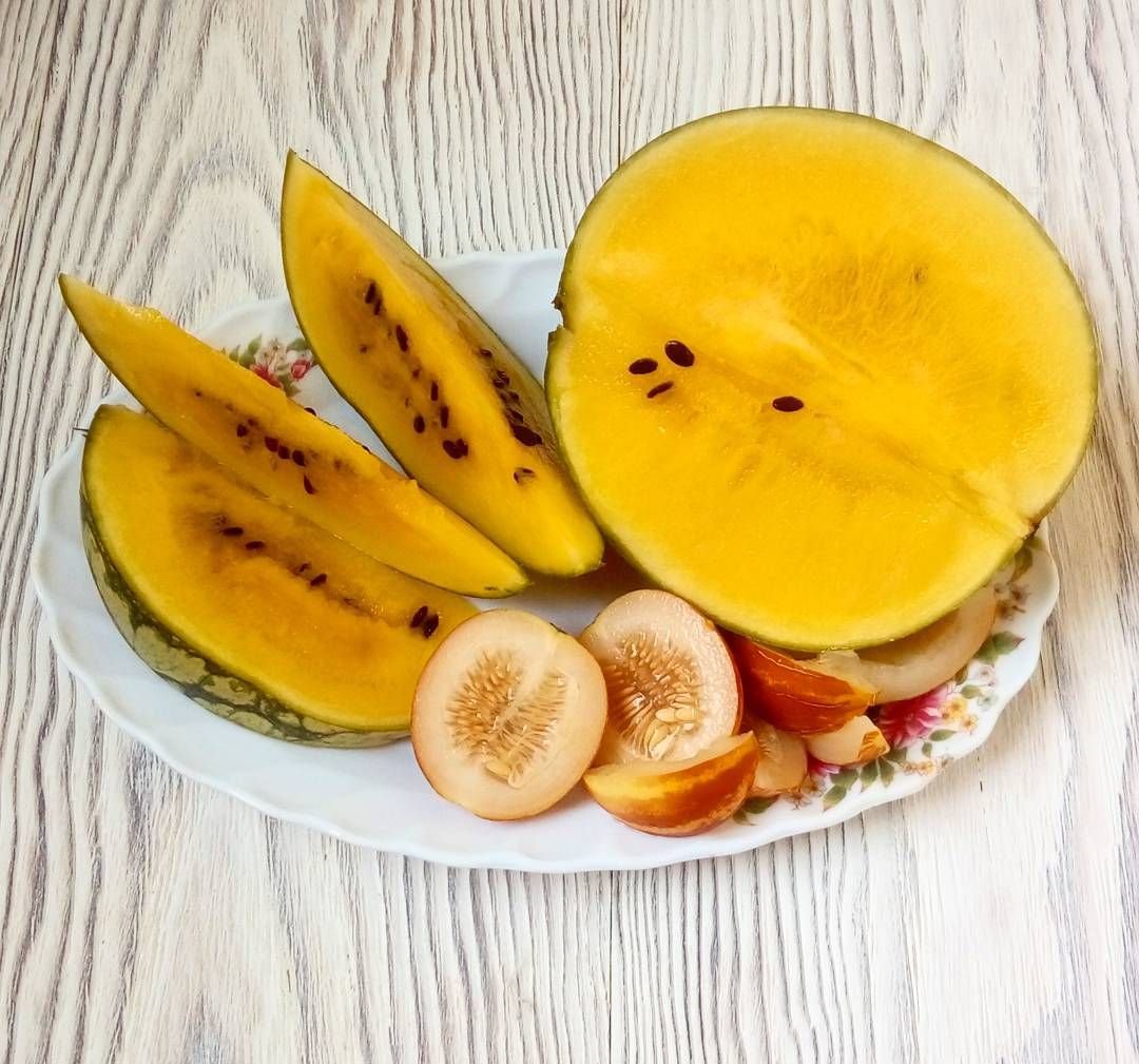 Косточки дыни