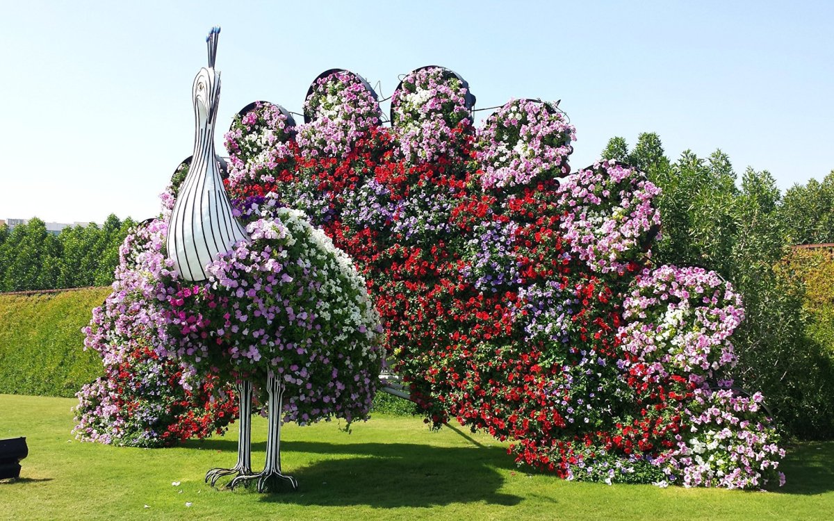 Miracle Garden Дубай