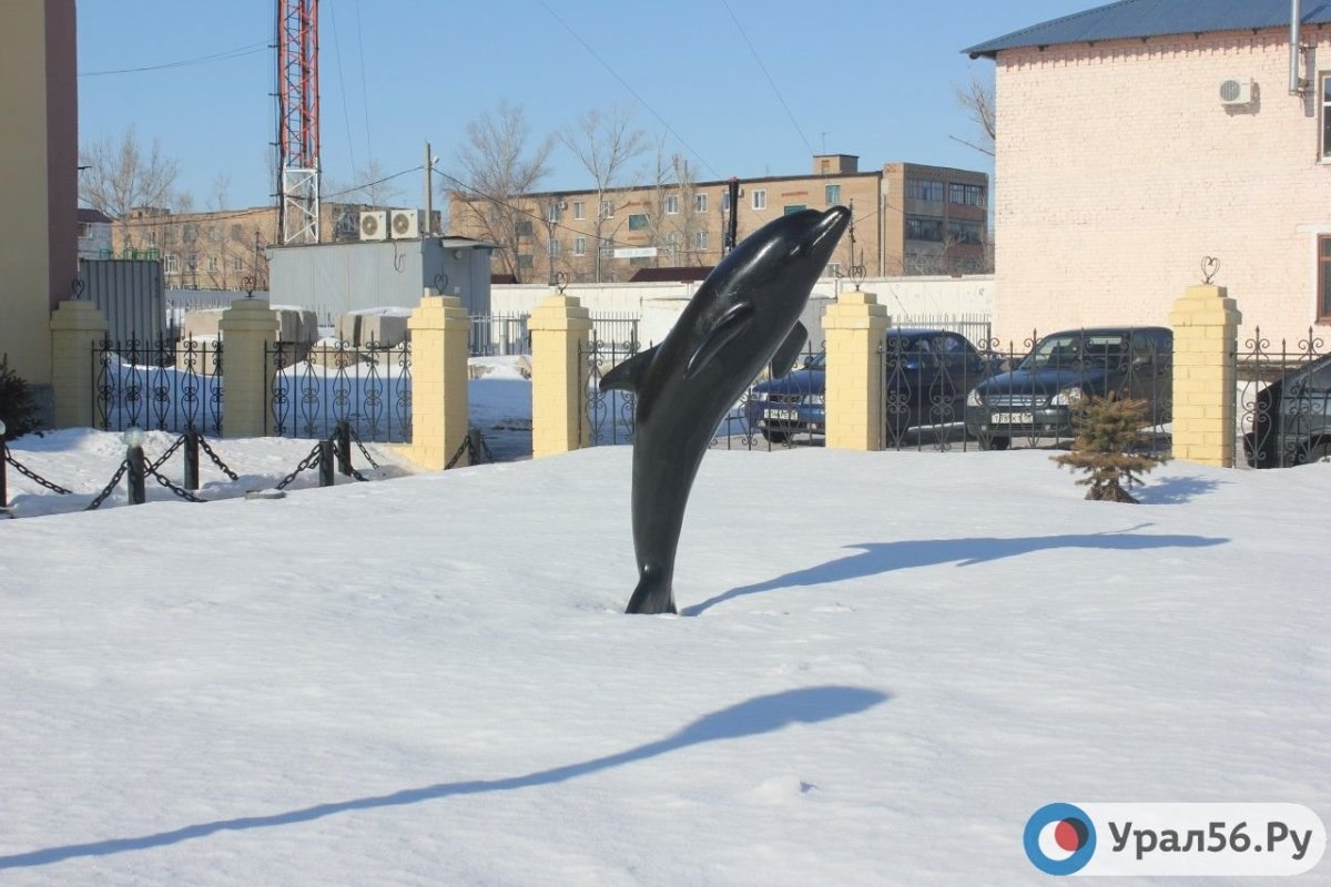 Курорт чёрный Дельфин