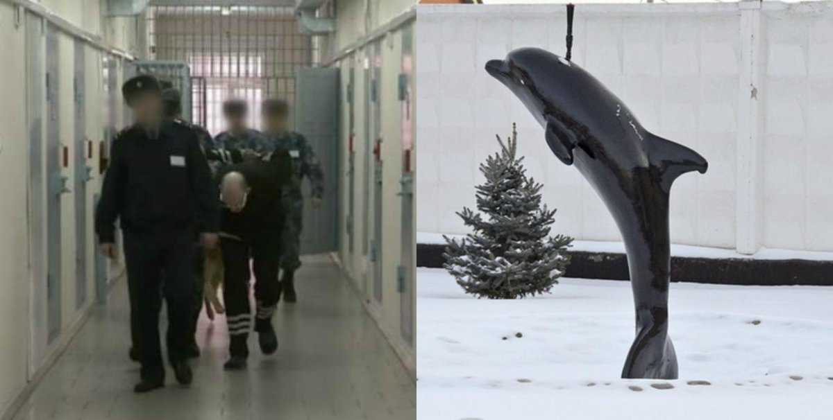 Соль-Илецк зона черный Дельфин