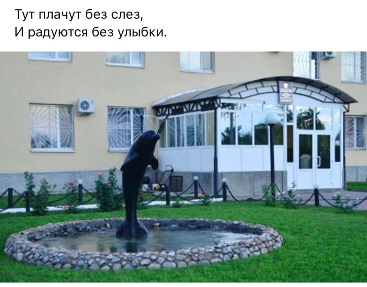 Соль-Илецк черный Дельфин