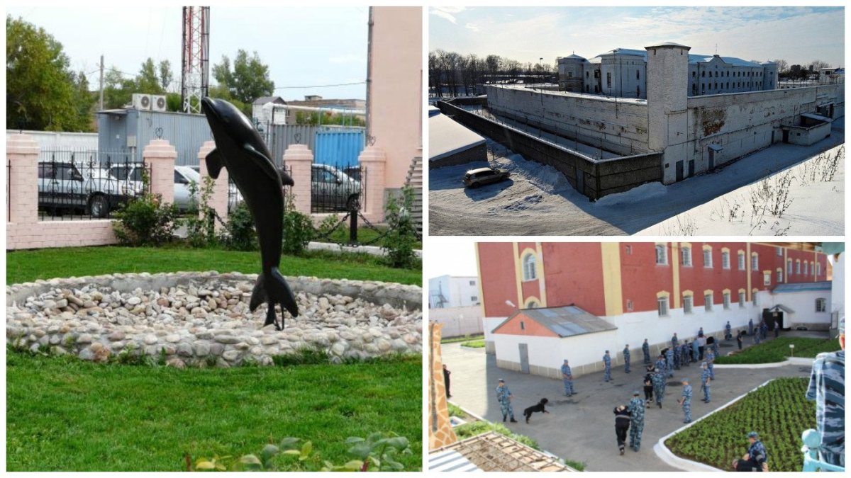 Черный дельфин новости