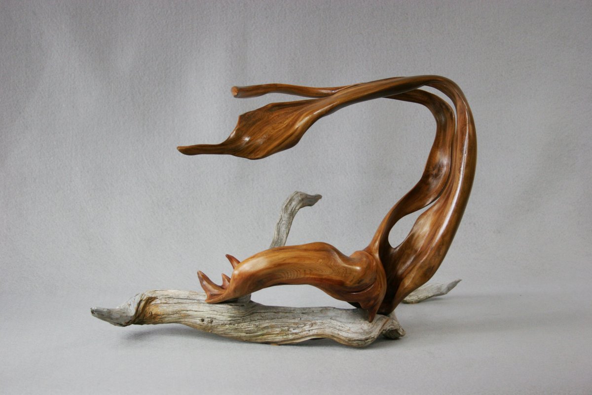 Буквы из коряг
