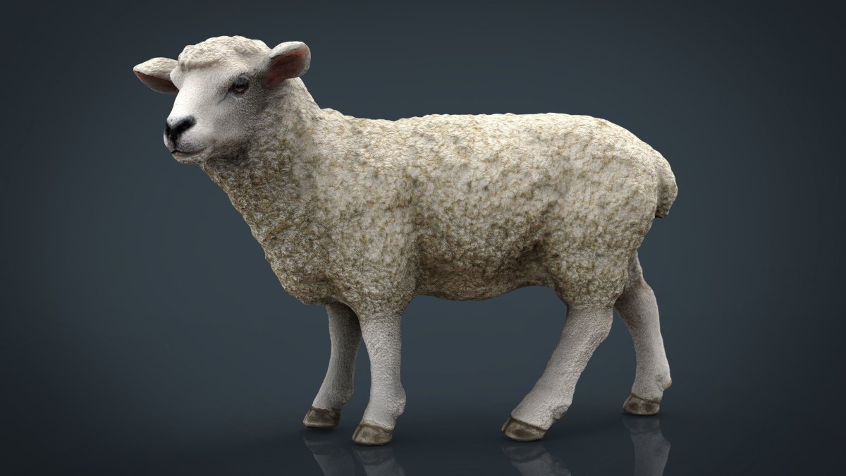 Шерсть овечья 3ds Max