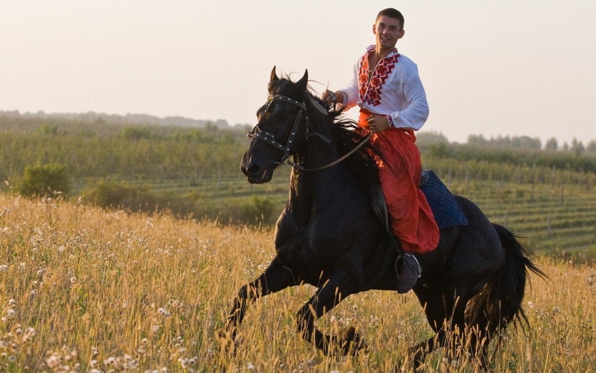 Казаки в поле