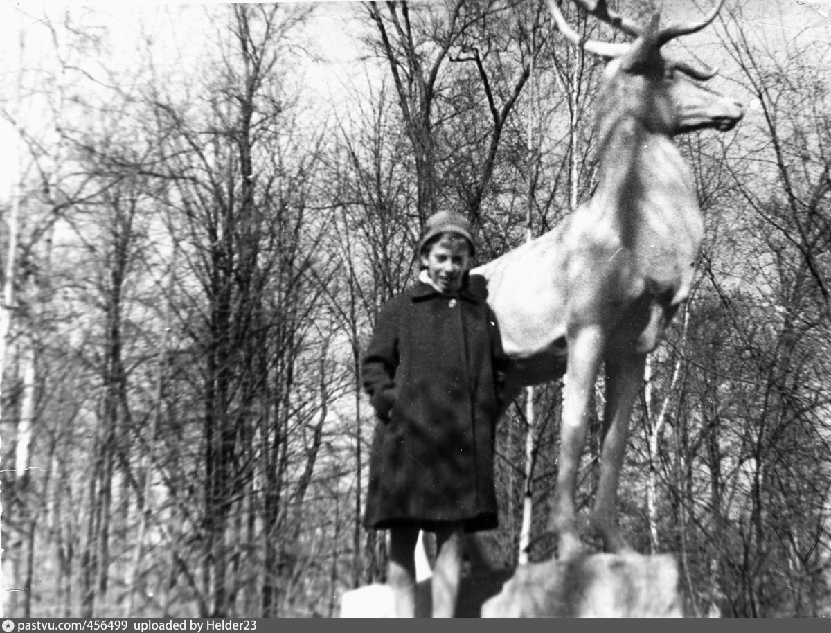 Скульптура олень в парке Сочи 1950-е г