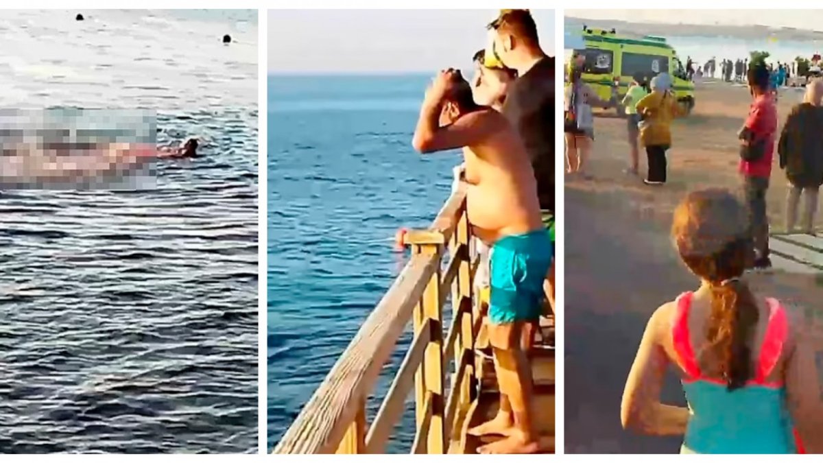 В Египте акула напала на туристку