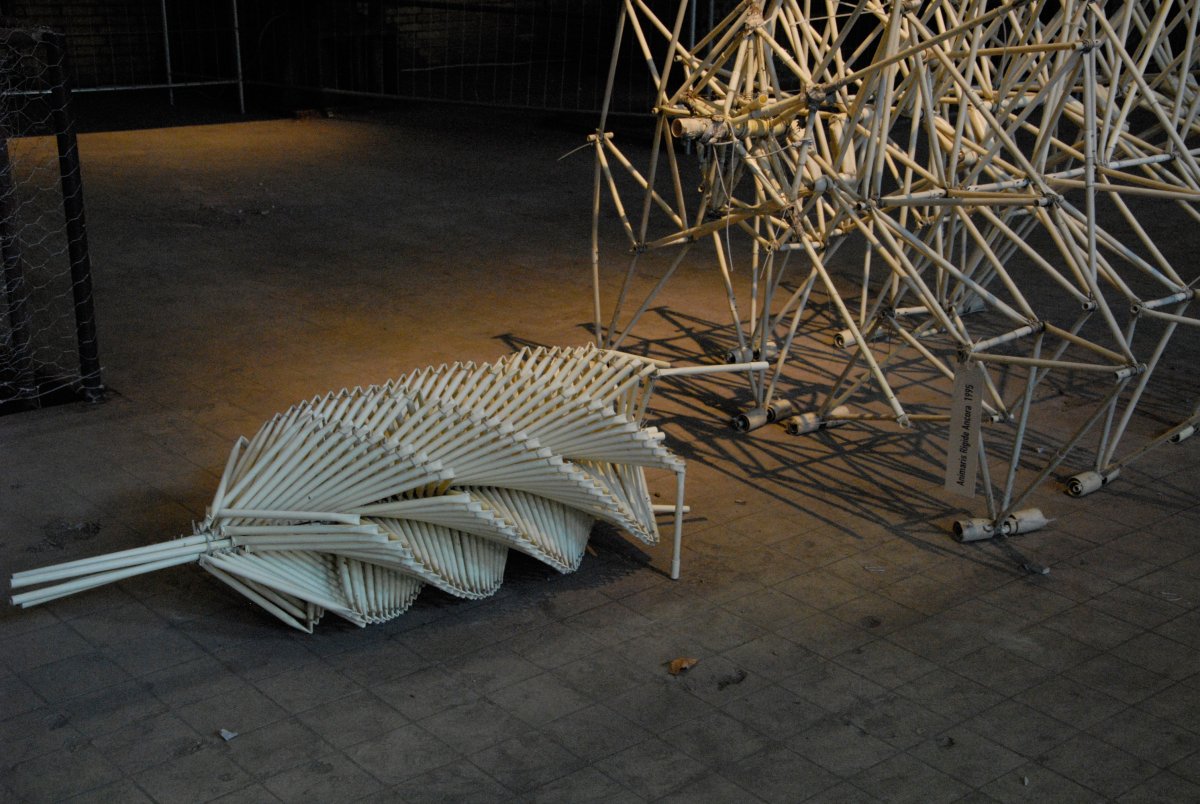 Strandbeest theo Jansen