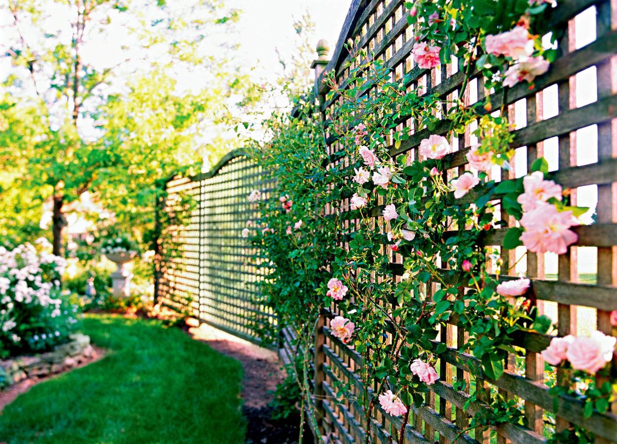 Сетка Шпалерная для роз Garden