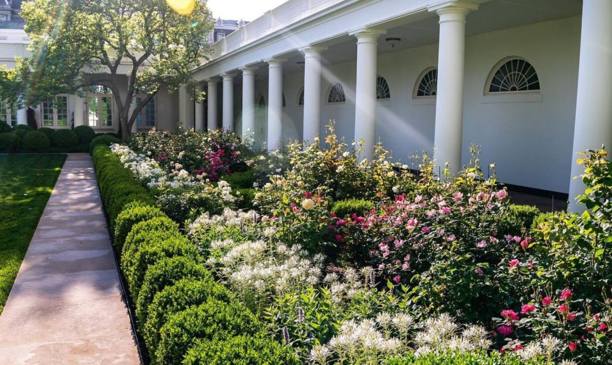 Rose Garden White House