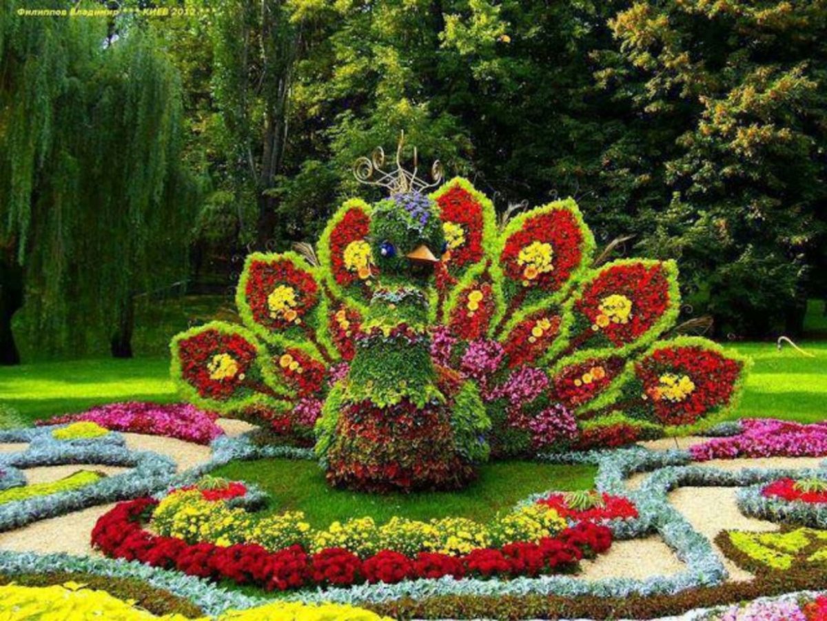 Цветочные клумбы