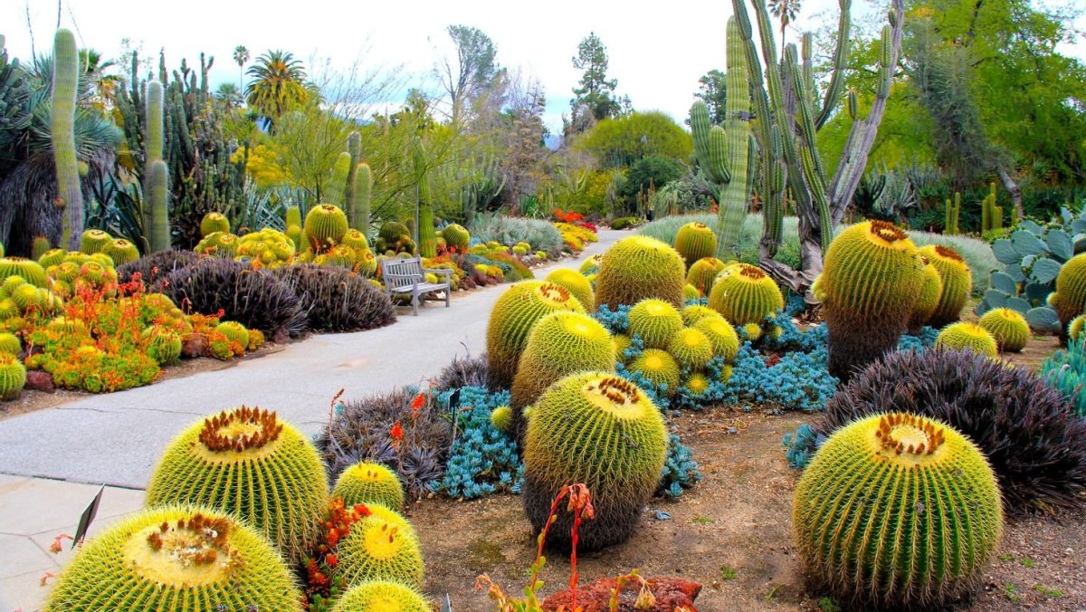 Ботанический сад Botanical Garden
