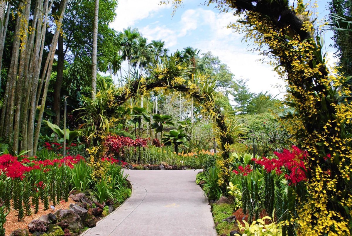 Bogotá Botanical Garden Богота