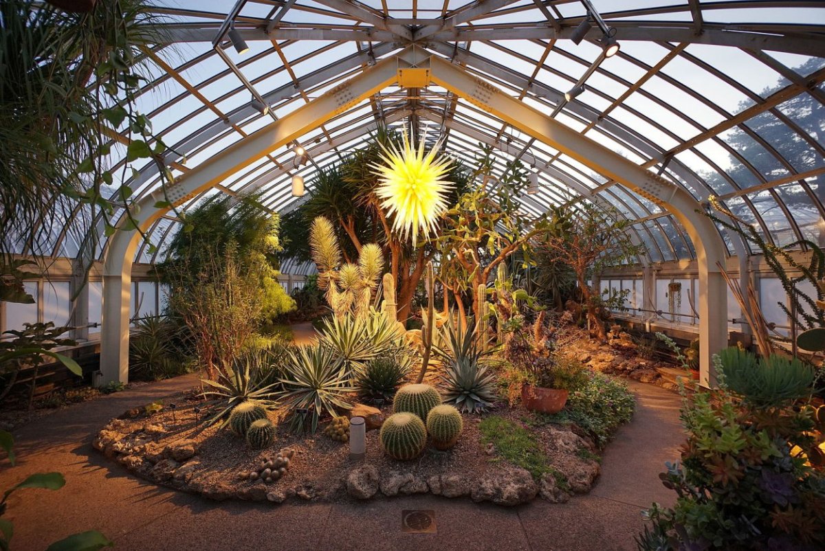 Phipps Conservatory and Botanical Gardens Питтсбург