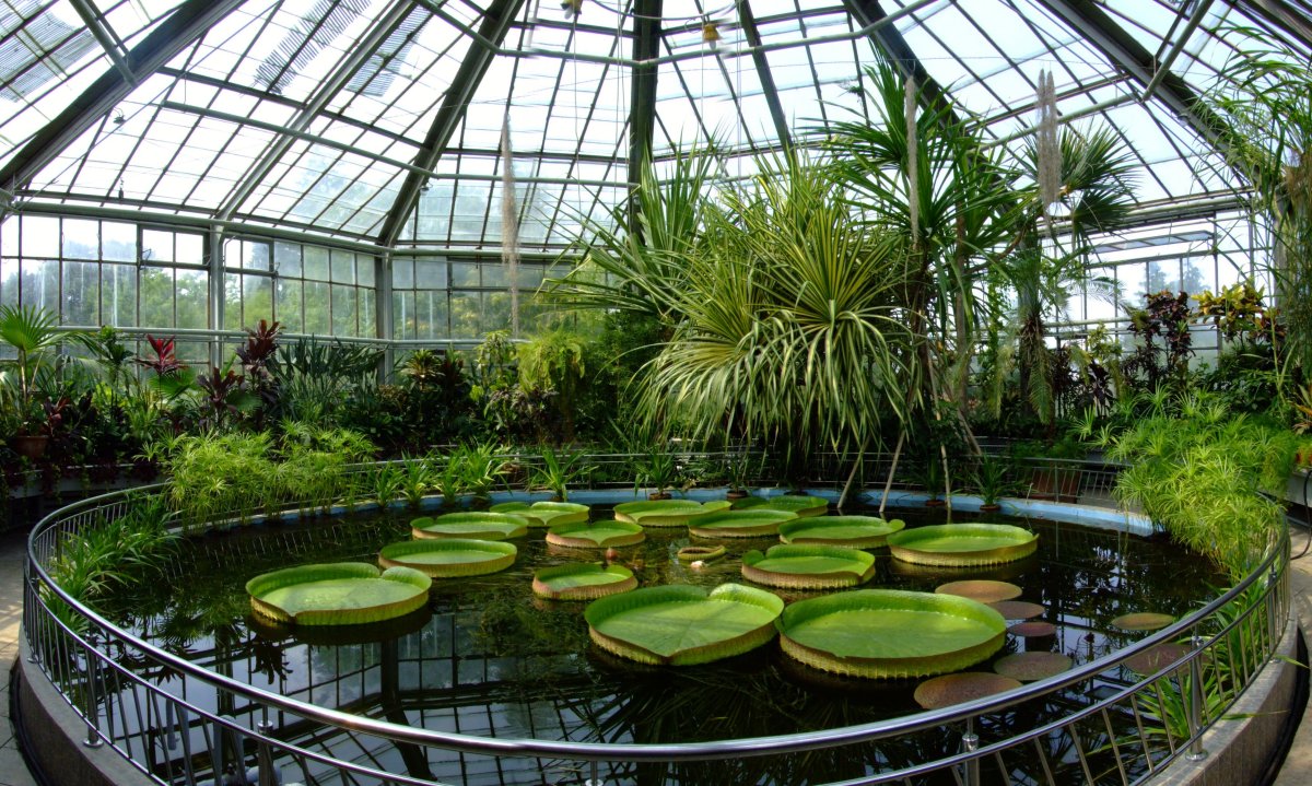 Оранжерея gradina Botanica