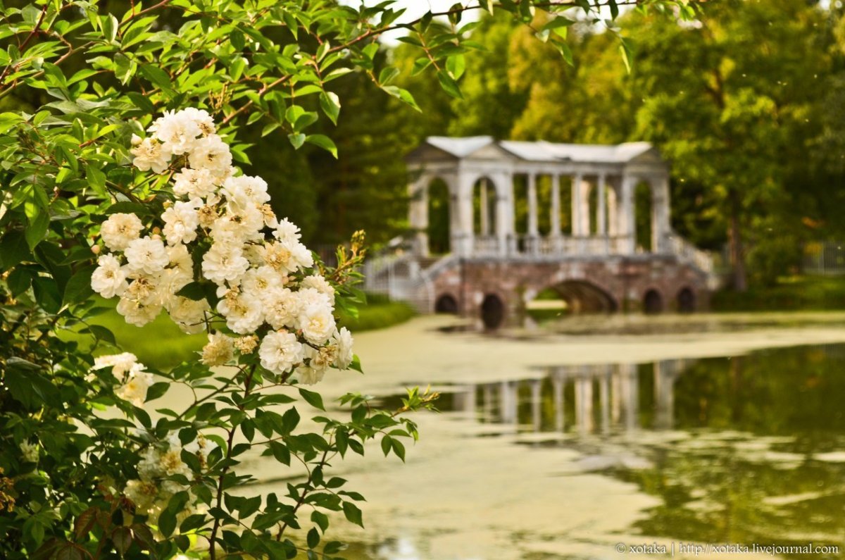 Царское село летний сад
