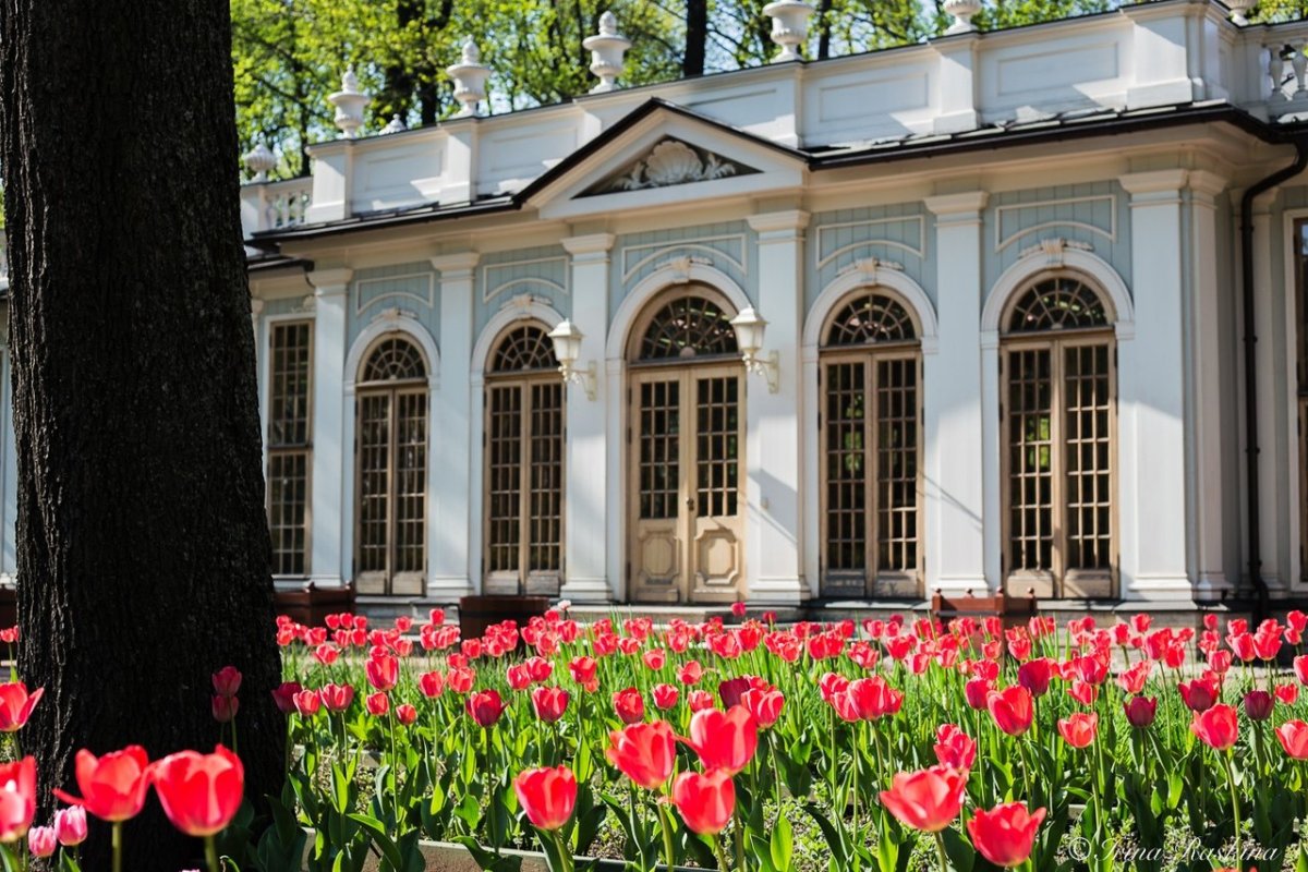Музей в летнем саду в Санкт-Петербурге
