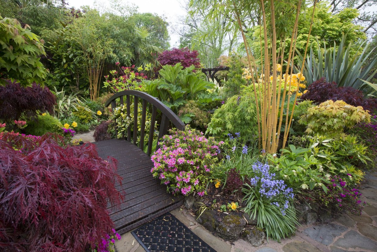 Lilies in English Gardens