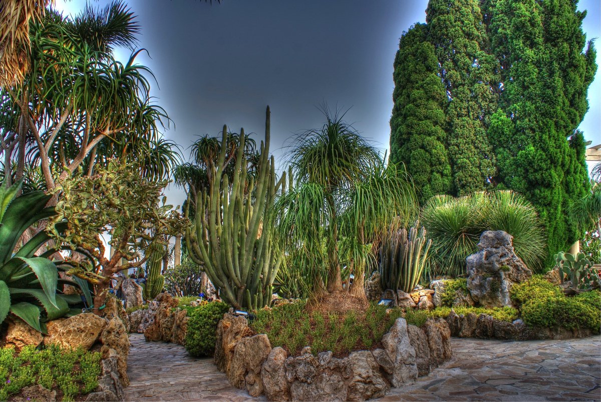 Сад Jardin exotique Монако