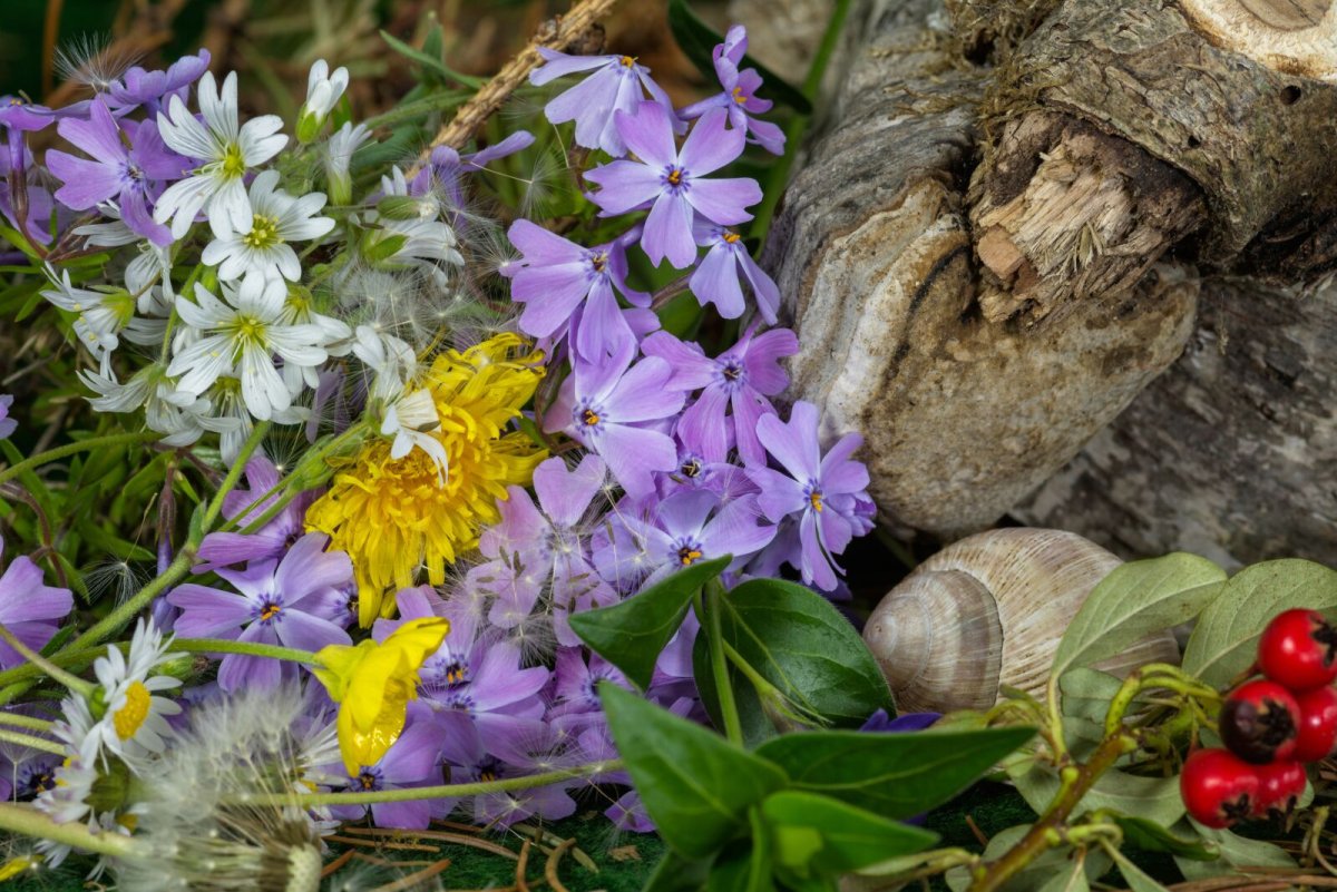 Flower ground