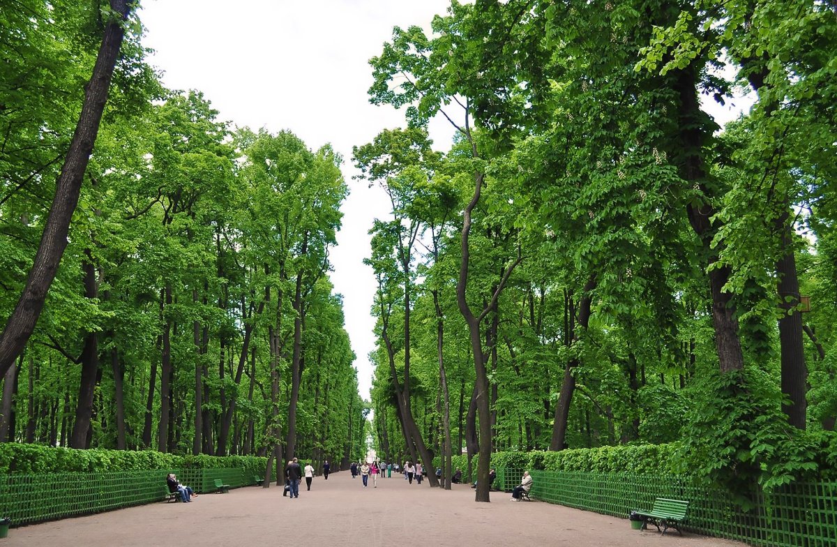 Аллеи летнего сада в Санкт-Петербурге