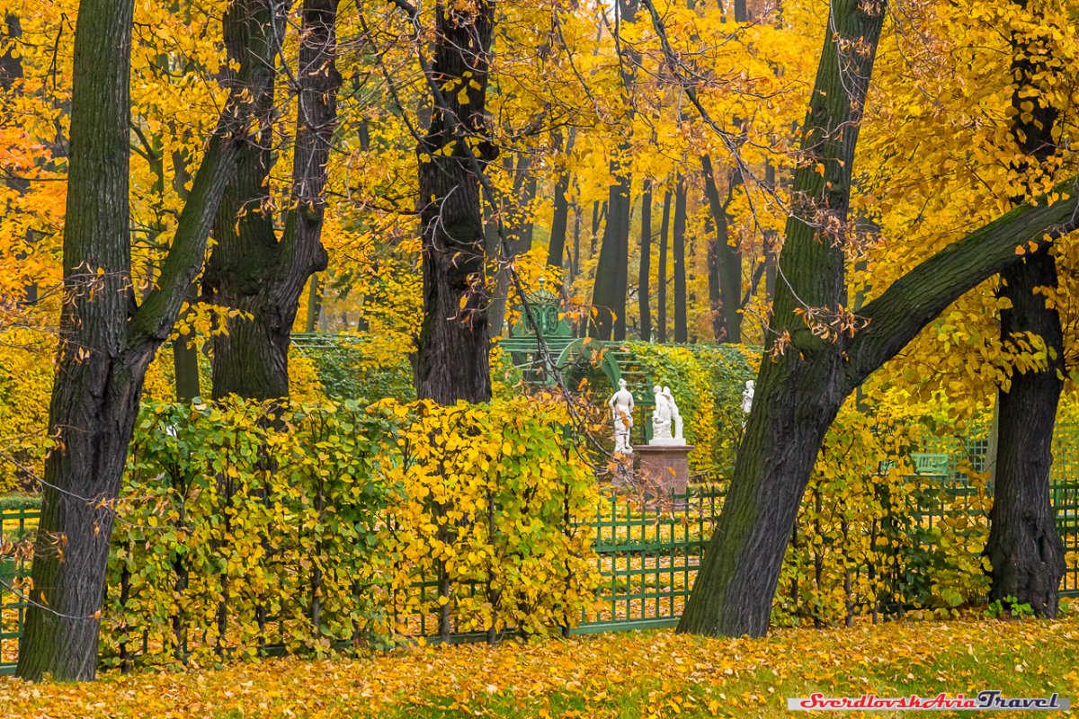 Золотая осень СПБ парк