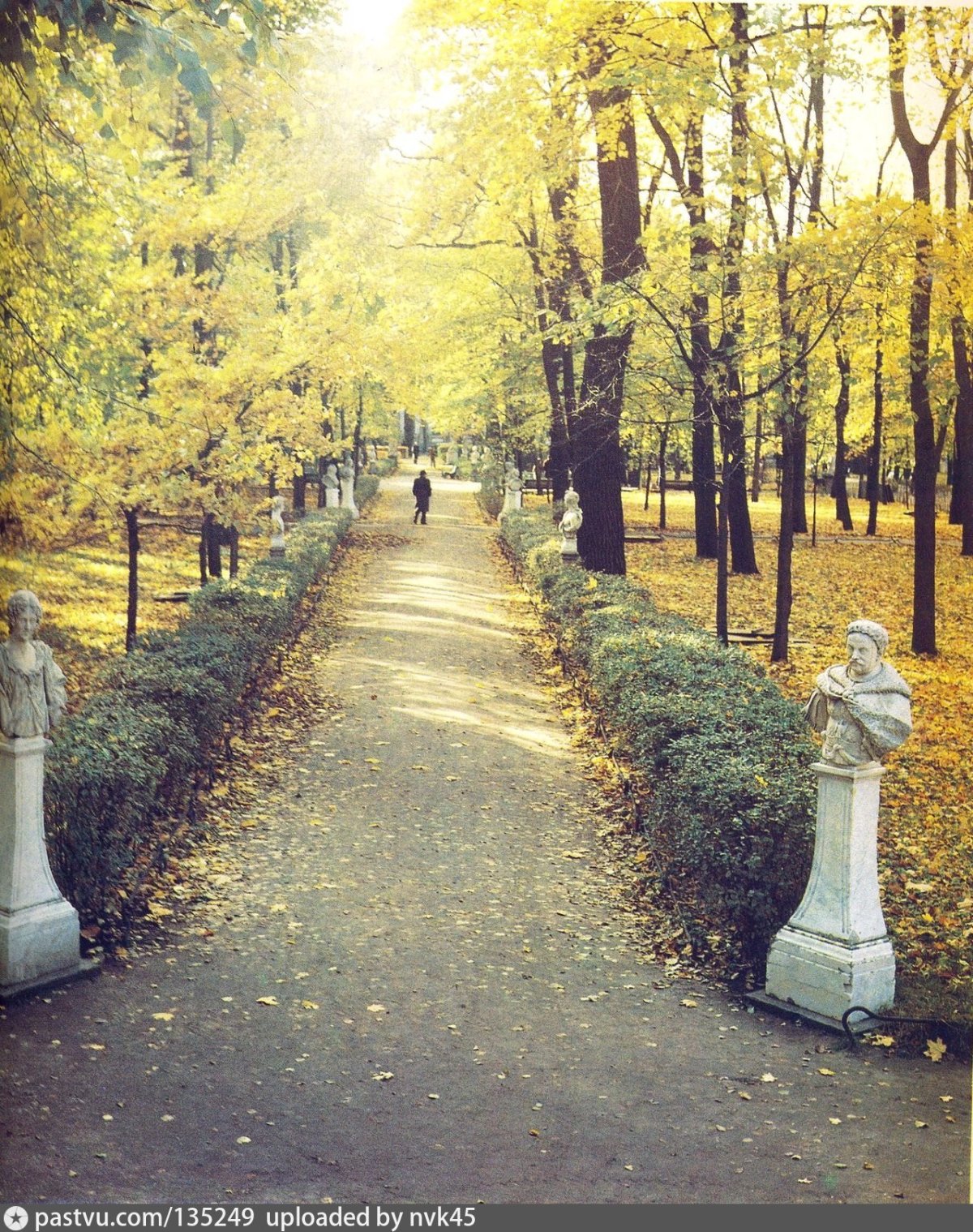 Санкт Петербург аллея старых лип, летний сад