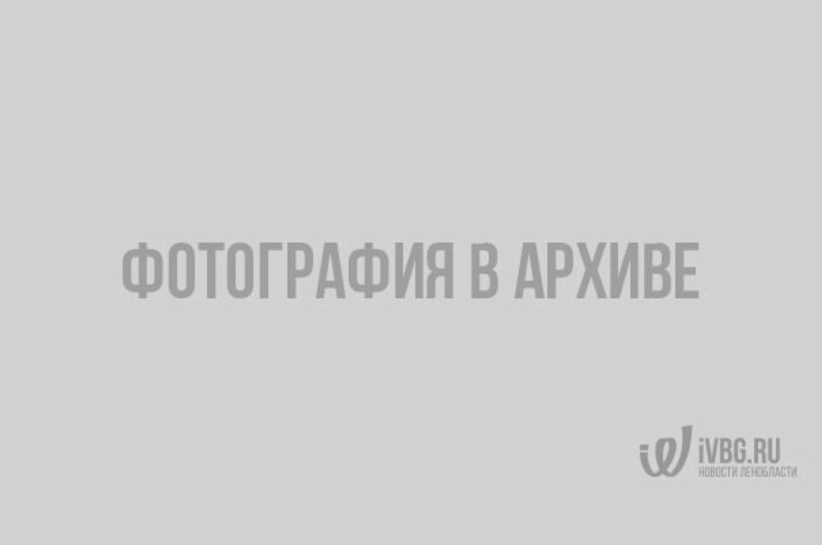 Подвиг императора памятник Лахта центр