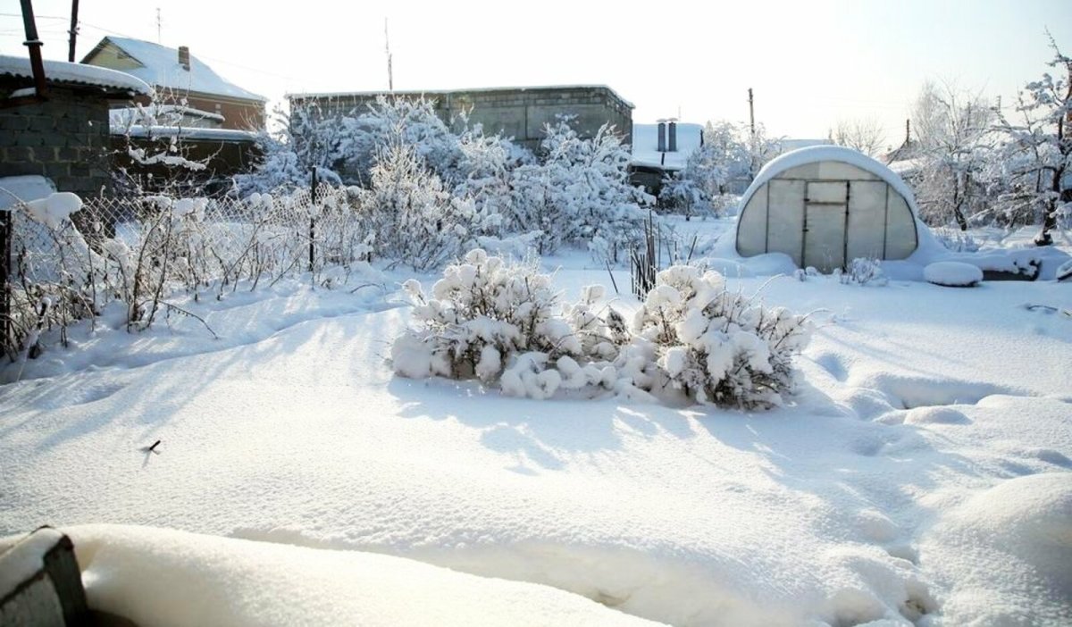 Снег в огороде