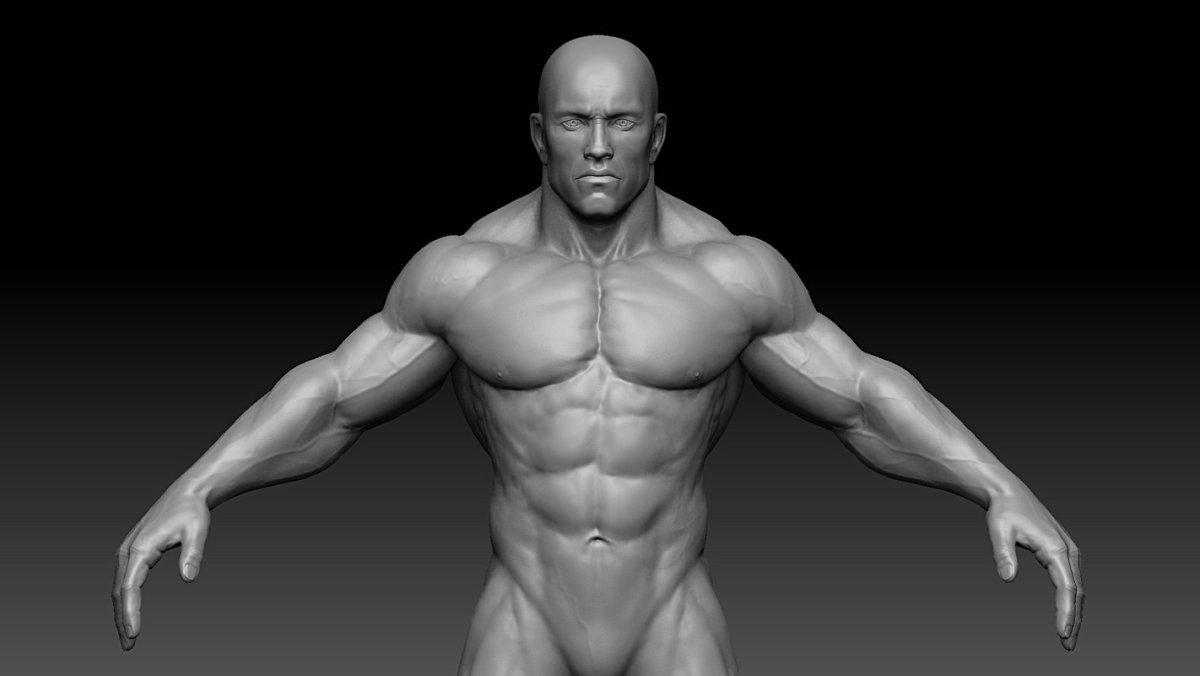 Бодибилдер Zbrush