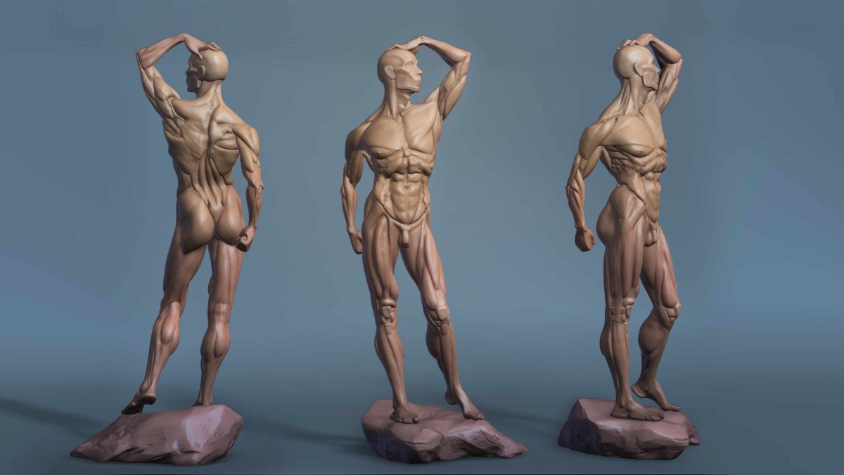 Экорше для Zbrush