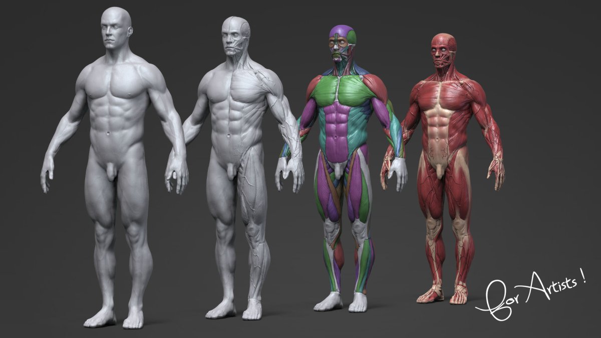 Zbrush человек