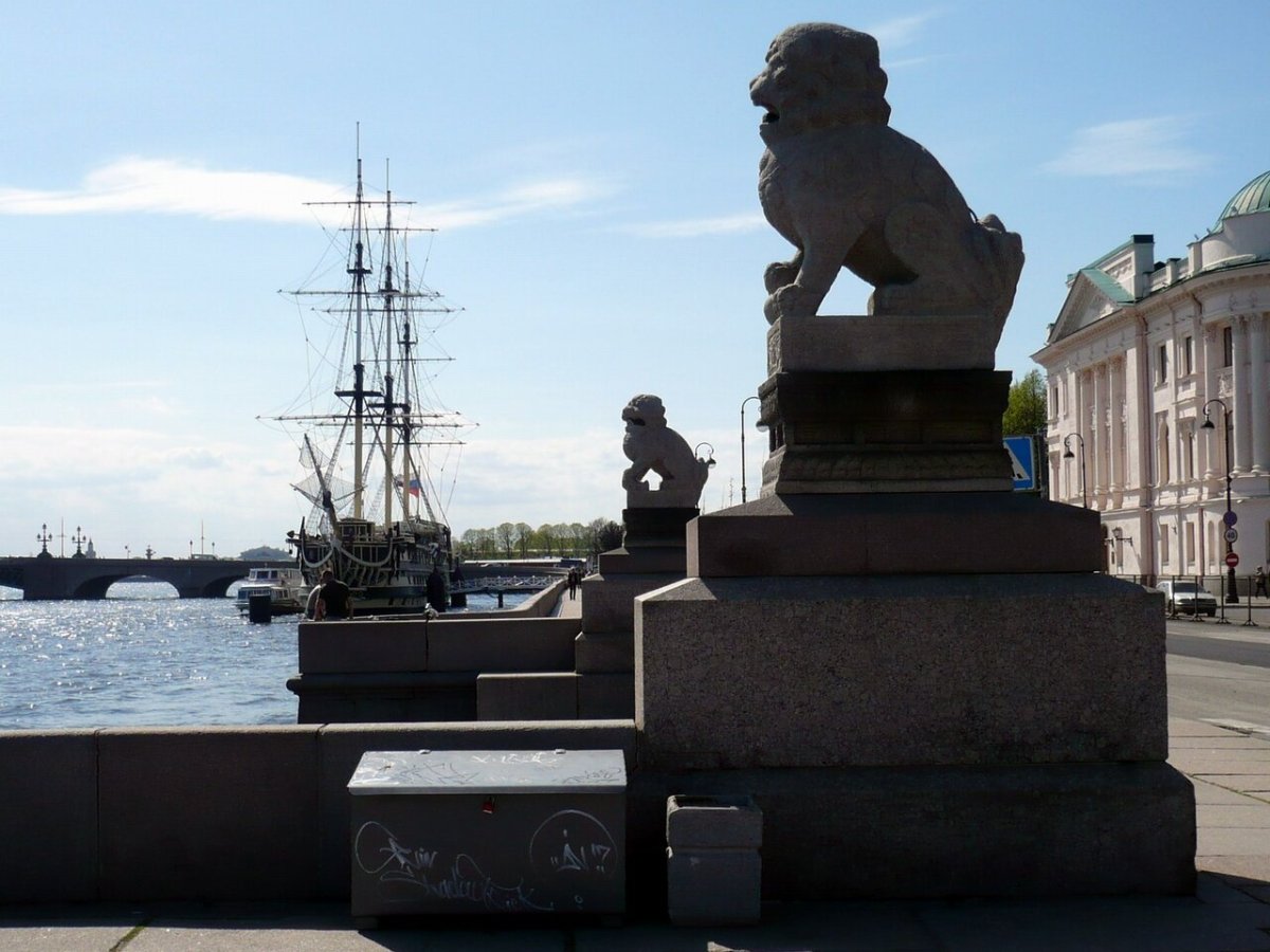 Ши цза СПБ