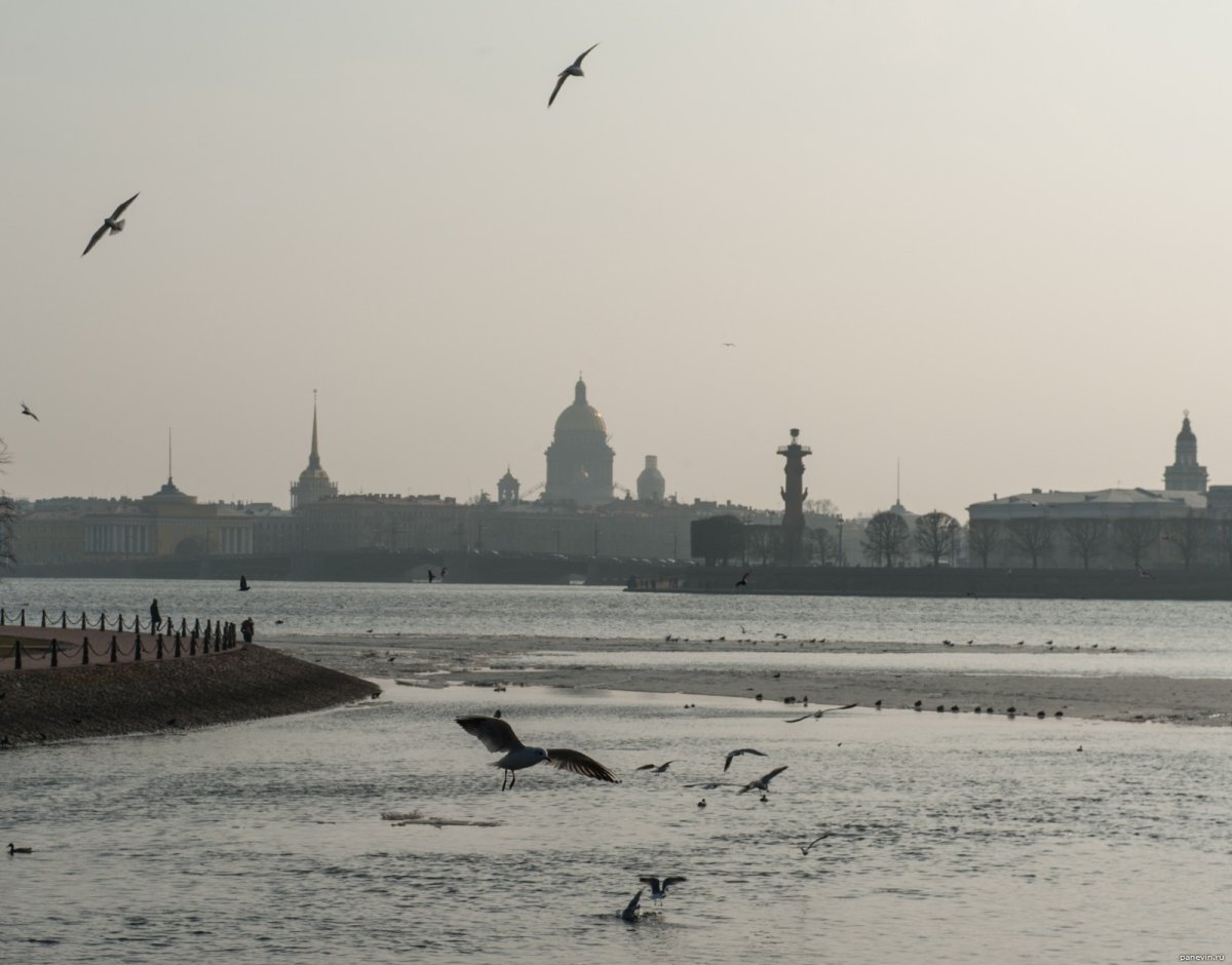 Санкт-Петербург Нева
