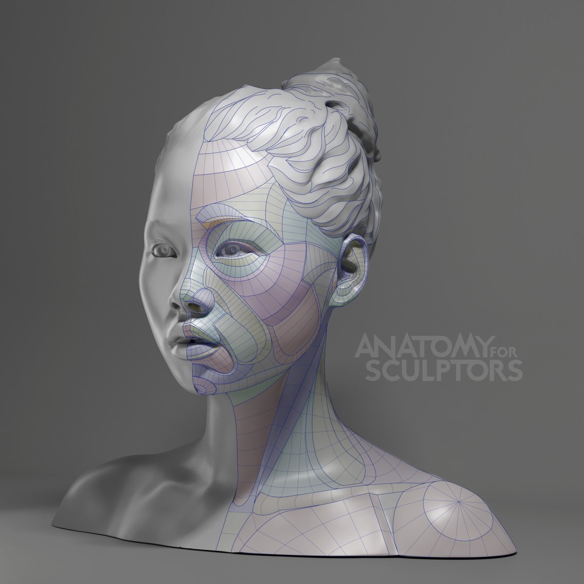 Анатомия for sculptors