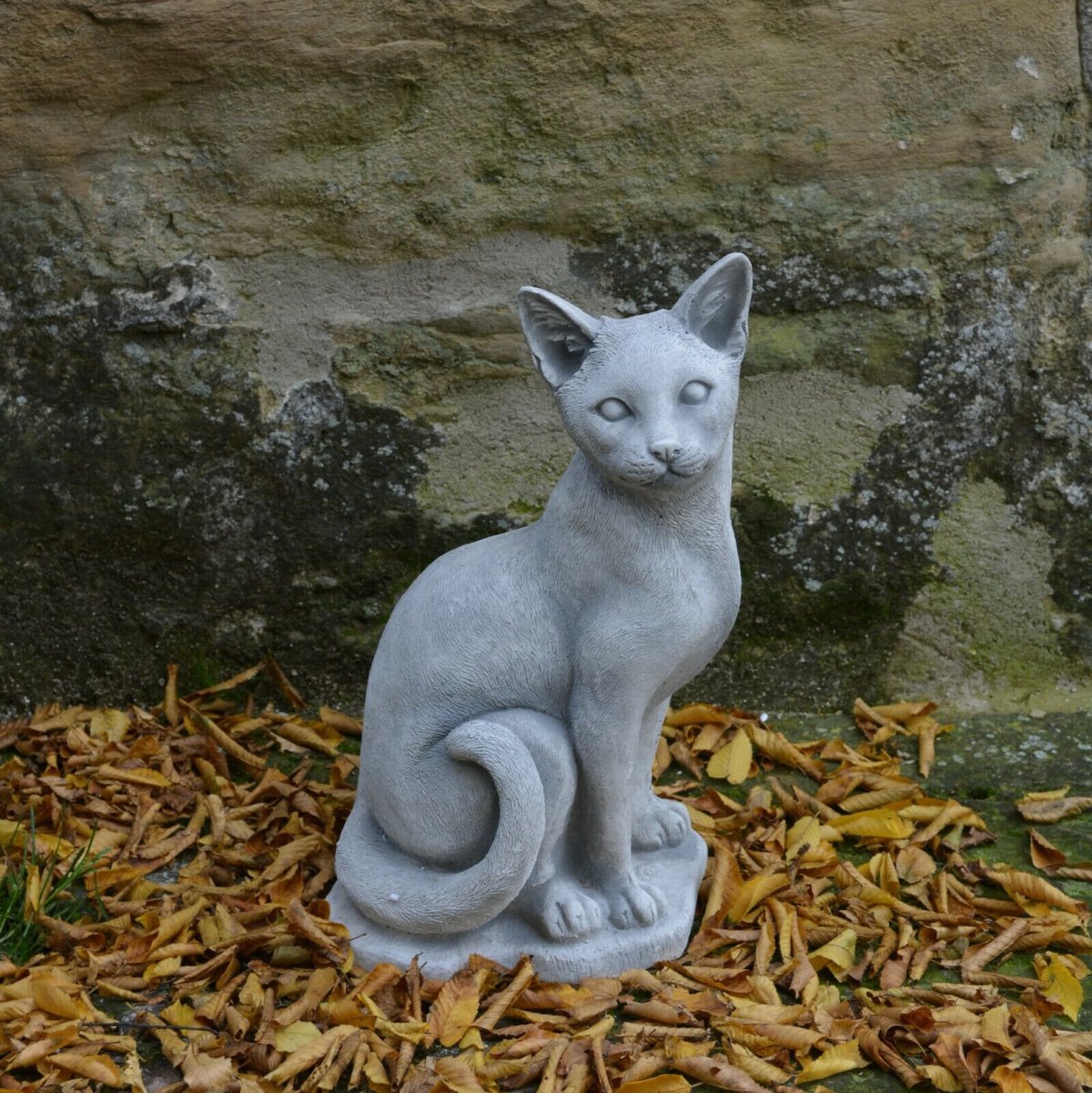 Каменный кот