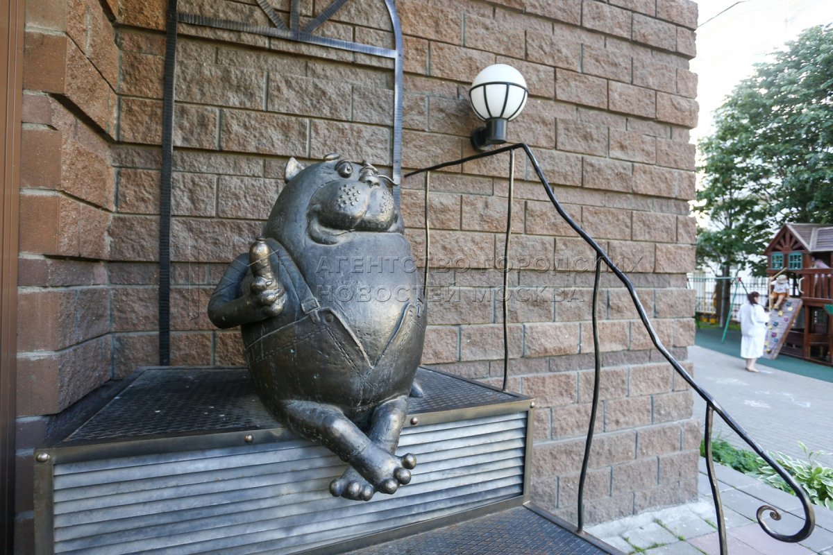 Кот Василий на ул. Талалихина в Москве.