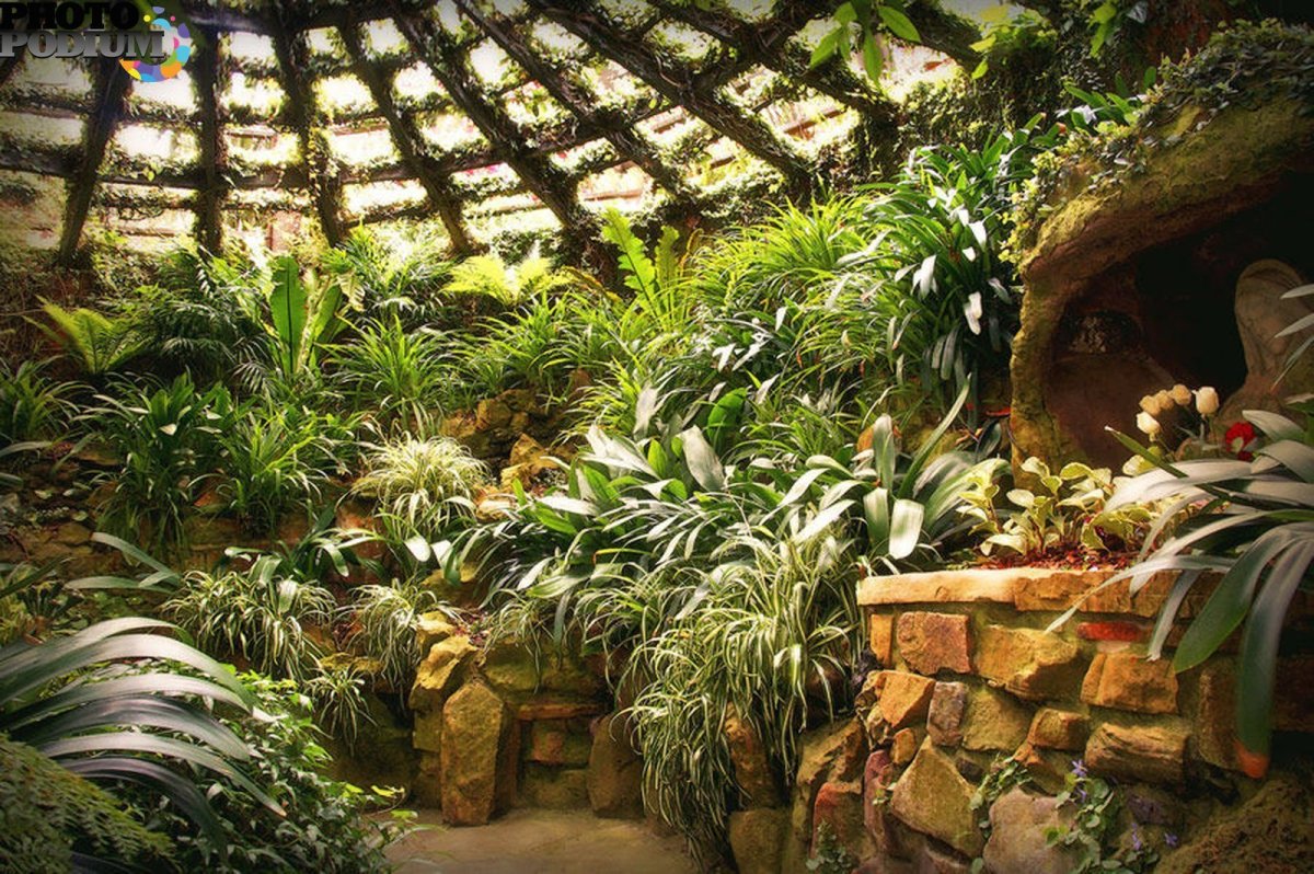 Тропический зимний сад