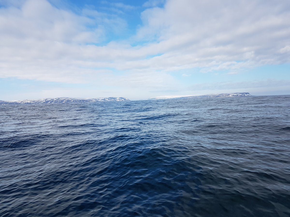 Мурманск море