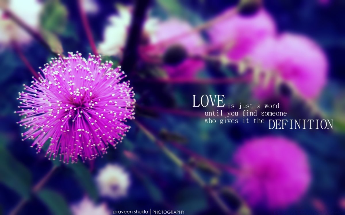 Love Definition