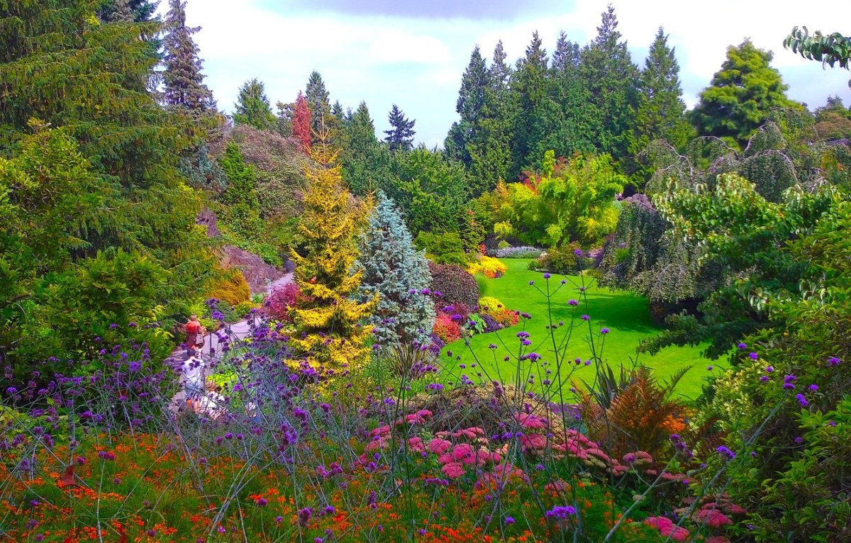 Канада сады Queen Elizabeth Garden Ванкувер