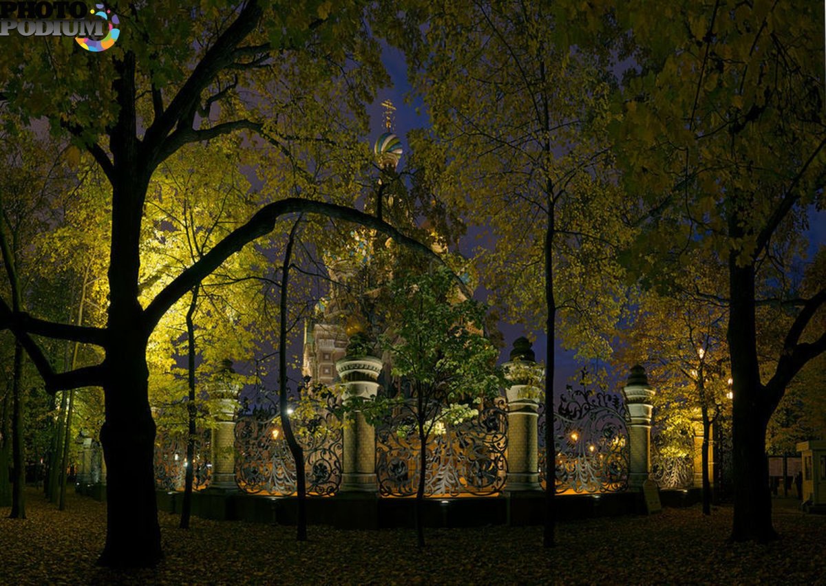 Михайловский парк осенью