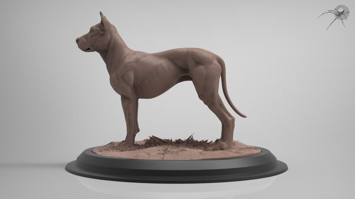 3d Dog Anatomy