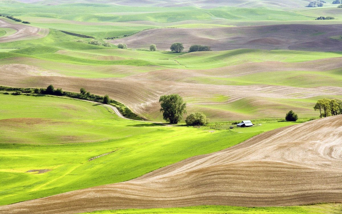 Пейзаж ландшафт