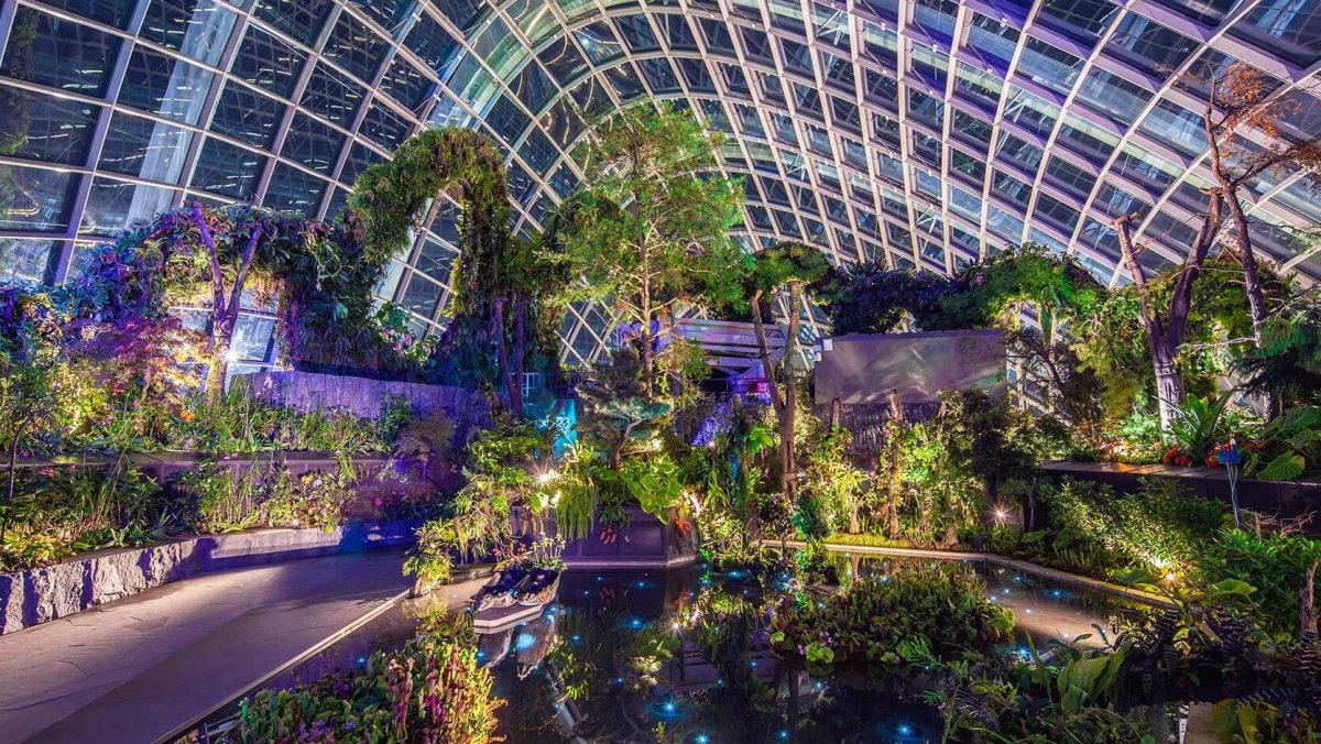 Сингапур, оранжерея 'Flower Dome'.