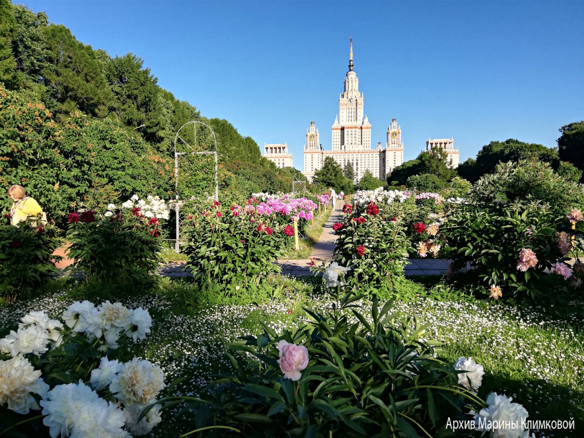 Ботанический сад сегодня
