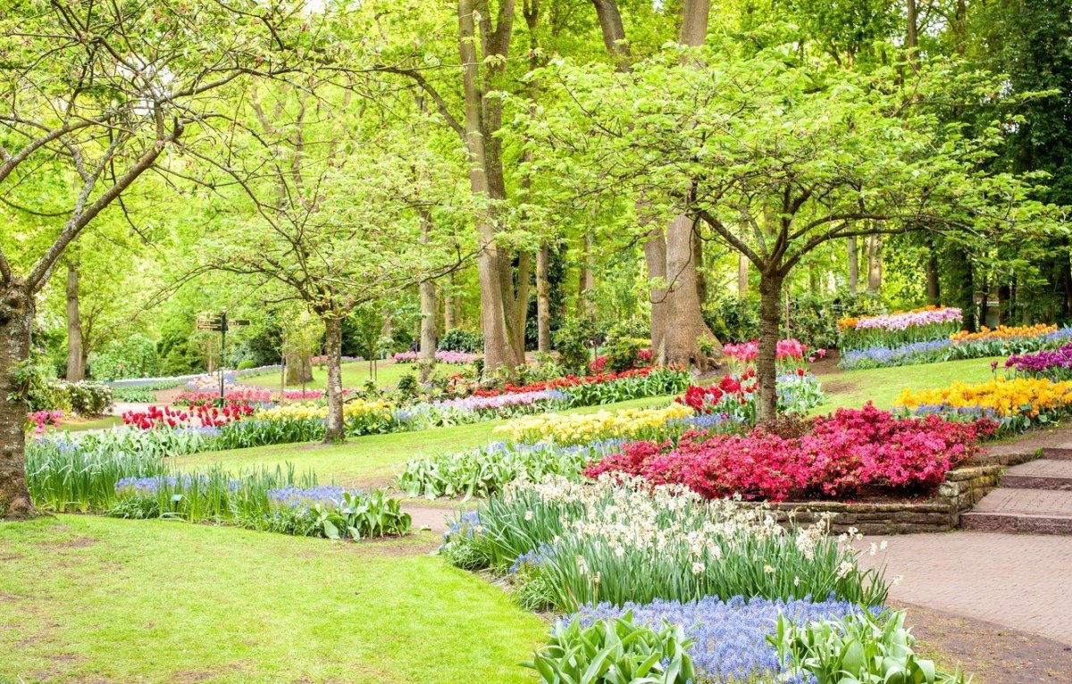 Весенний сад (Spring Topiary Garden)