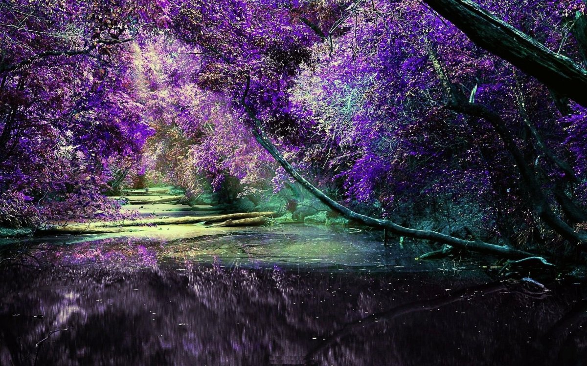 Фиолетовая природа